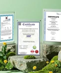 Pulmovia Quercetin Lung Detox Inhaler