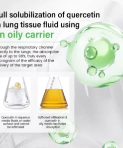 Pulmovia Quercetin Lung Detox Inhaler