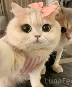 Luna - My Simulated Robot Cat