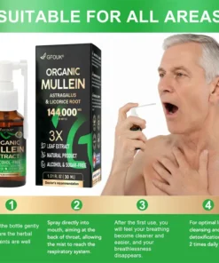 3X Concentrated Mullein Lung Cleanse Spray