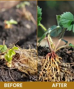 LIMETOW® Bone Meal Powder