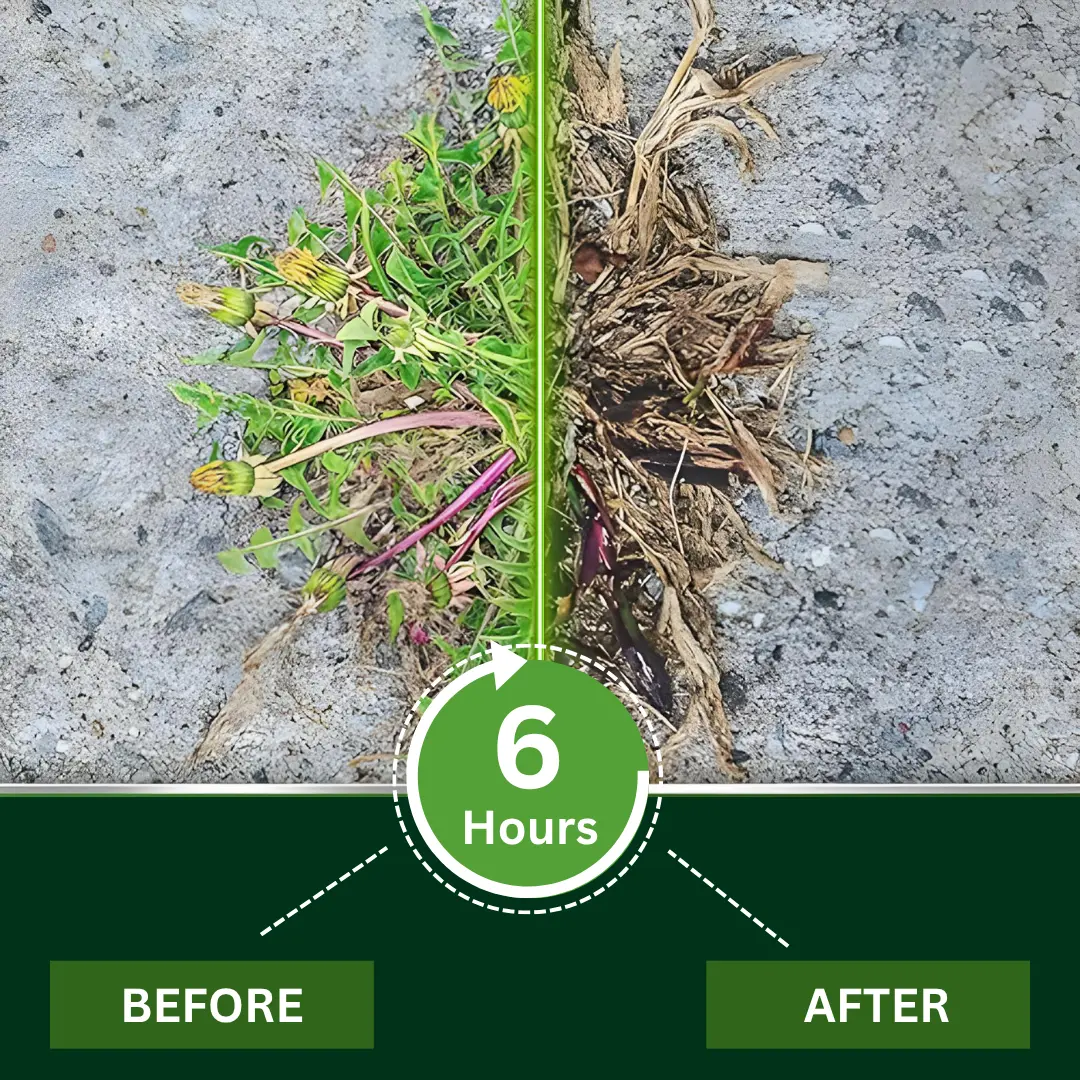 2 in 1 Max Power Herbicide - 6-Hour Action No more waiting - Image 5