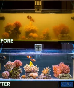 LIMETOW® Powerful Aquarium Water Purification Tablet
