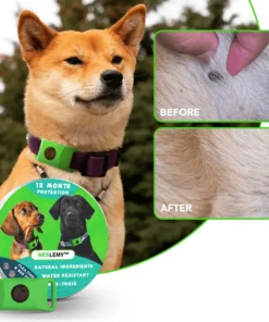 12Month Natural Flea Tick Protection Pendant