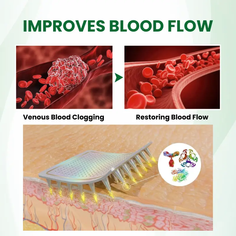 Phyto-Vascular Microneedle Patch - Image 3