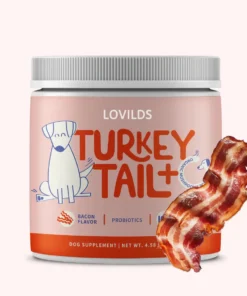 Turkey Tail Mushroom + Probiotic Formula
