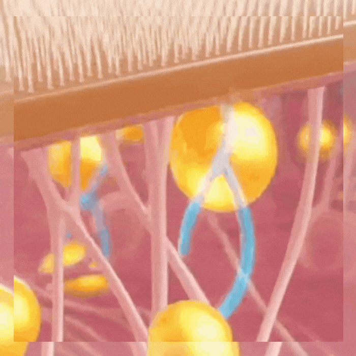 Turn Back 10 Years of Aging Without a Single Needle - Image 10