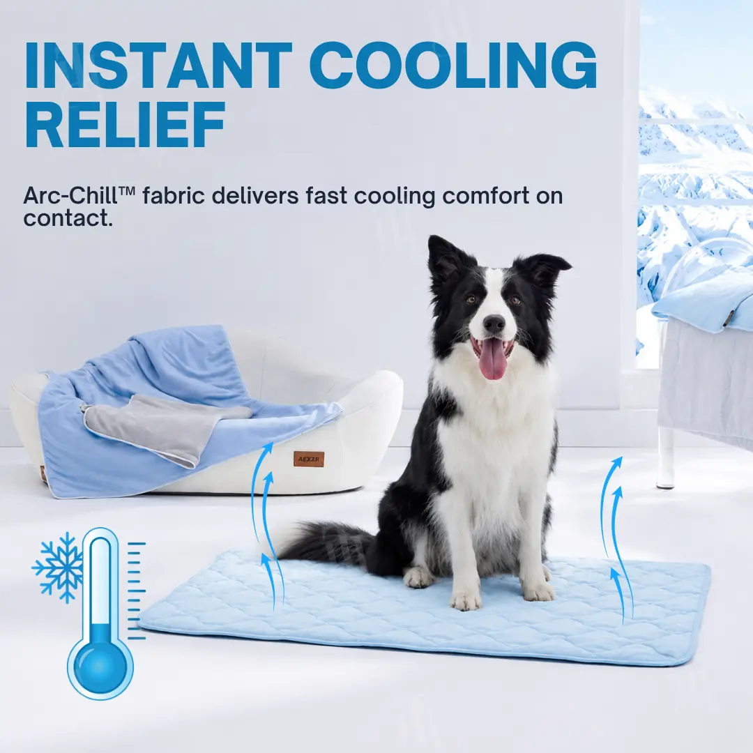 Advanced Ortho-Cool Pet Mat | Thermochromic Safe Cooling Pad - Image 3