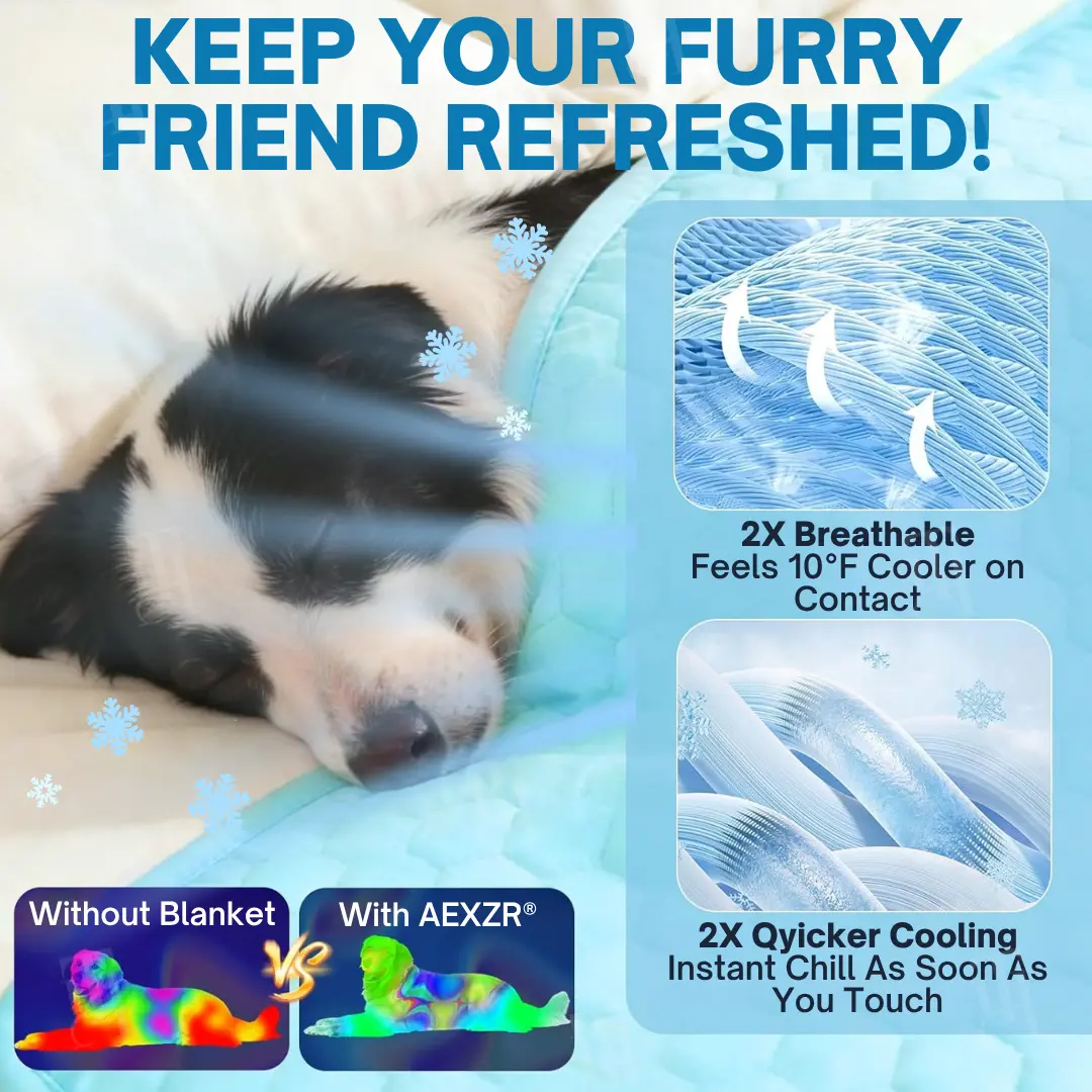 Advanced Ortho-Cool Pet Mat | Thermochromic Safe Cooling Pad - Image 6