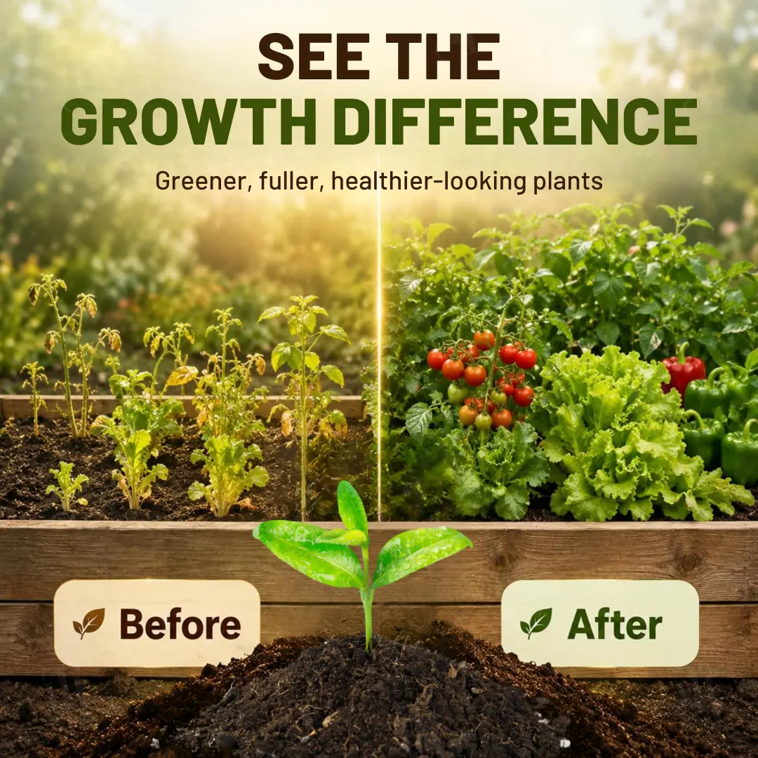 BioChar-Grow Soil Activator - Image 2