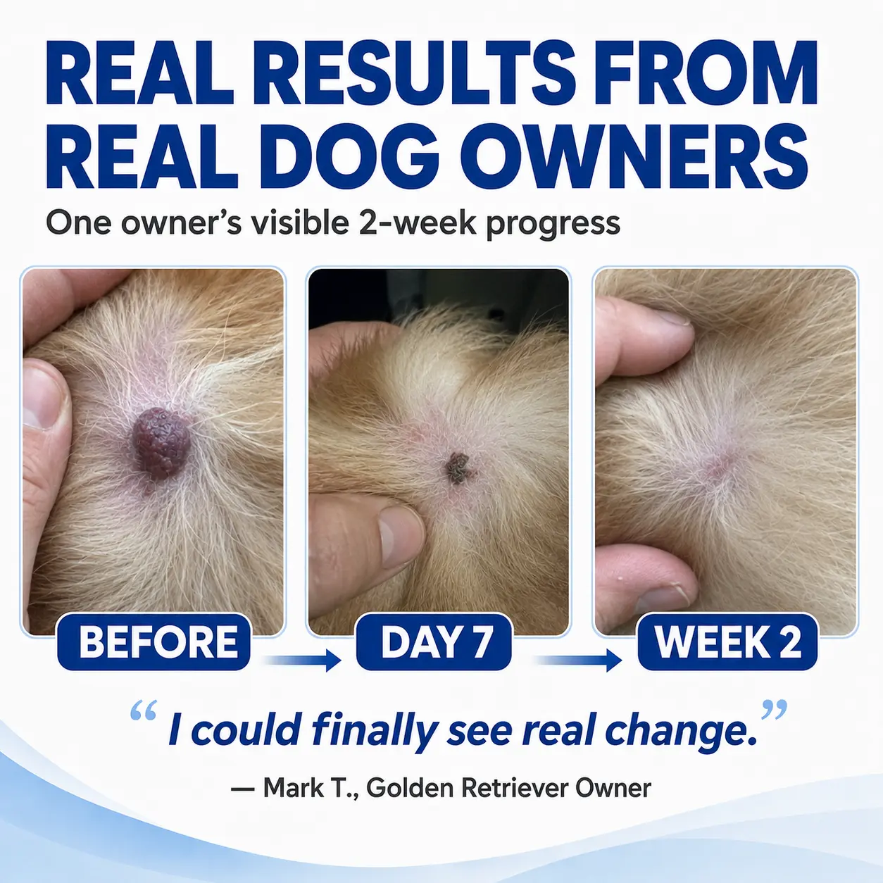 Advanced Dog Wart Remover - Image 3