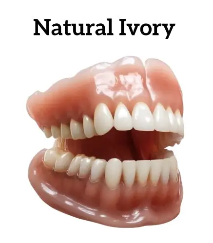 Advanced Customized Full Denture Set - Image 11