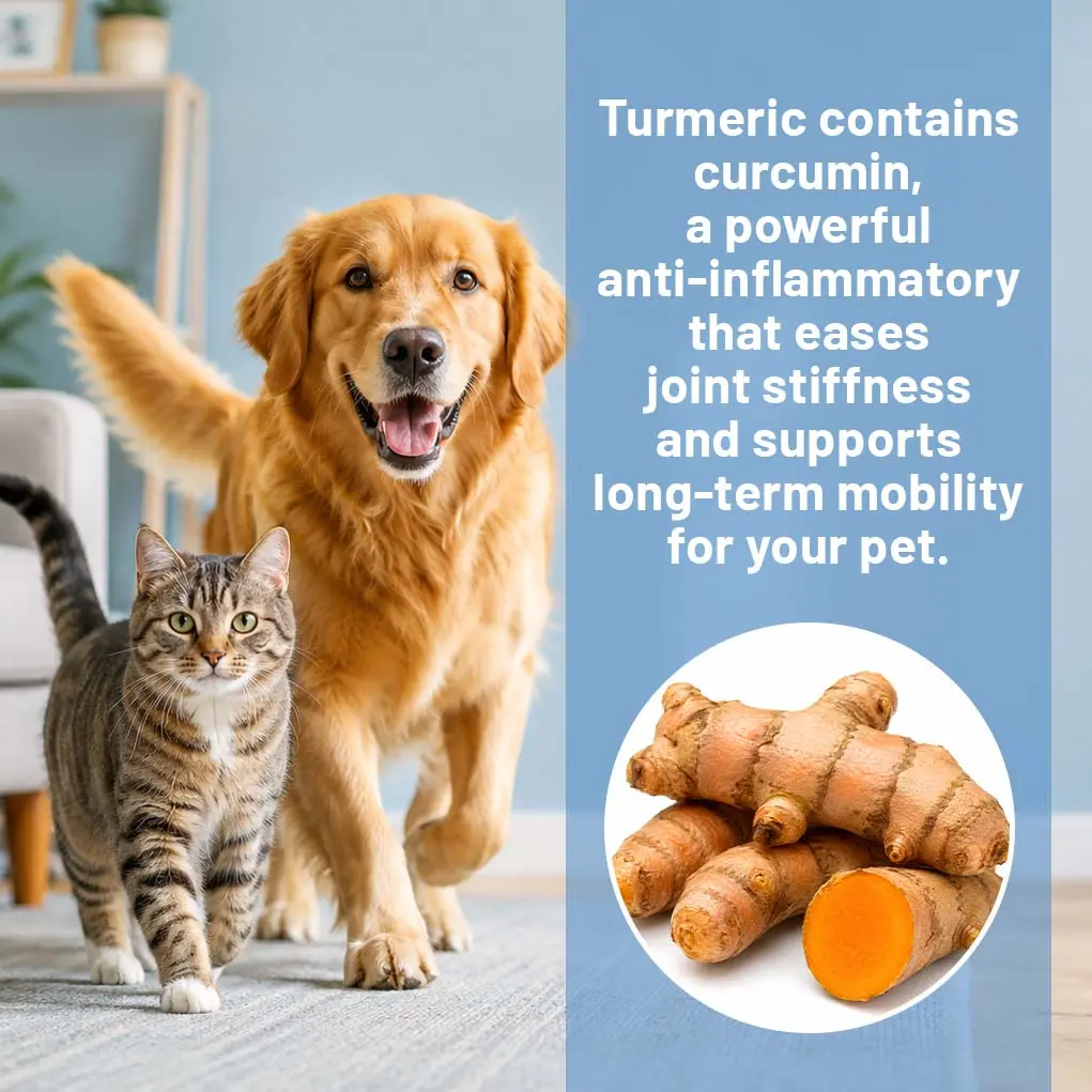 FlexiPaws— Comfort & Mobility Drops - Image 2