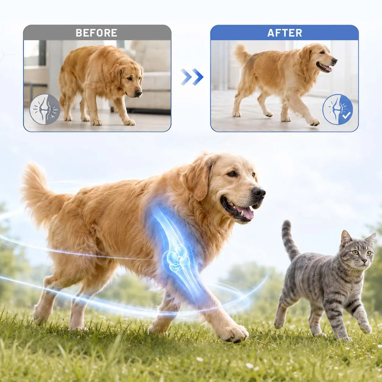 FlexiPaws— Comfort & Mobility Drops - Image 4