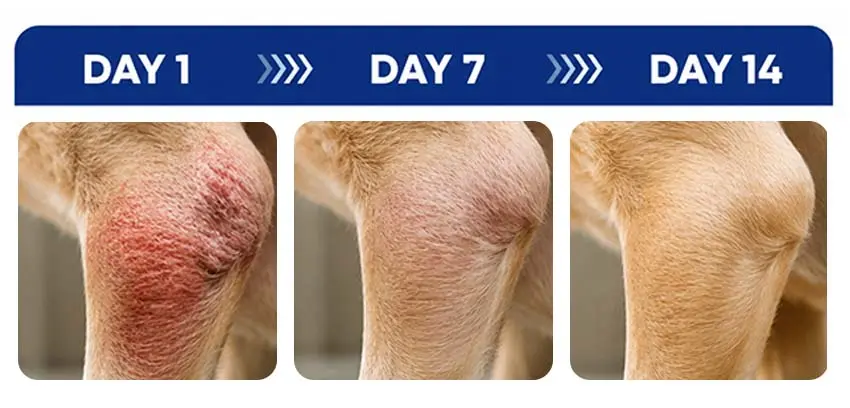 FlexiPaws— Comfort & Mobility Drops - Image 5