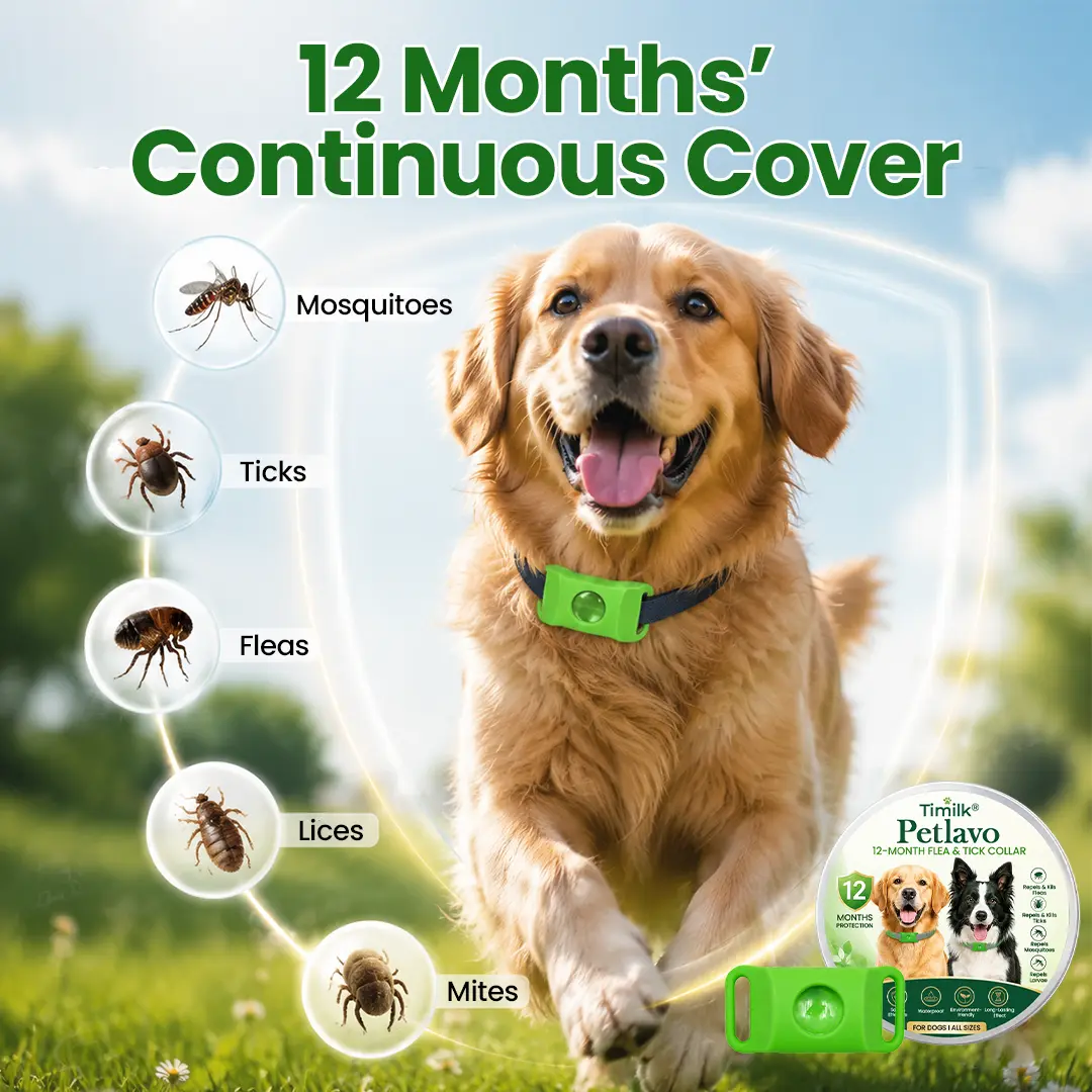 Petlavo 12-Month Flea & Tick Collar - Image 2
