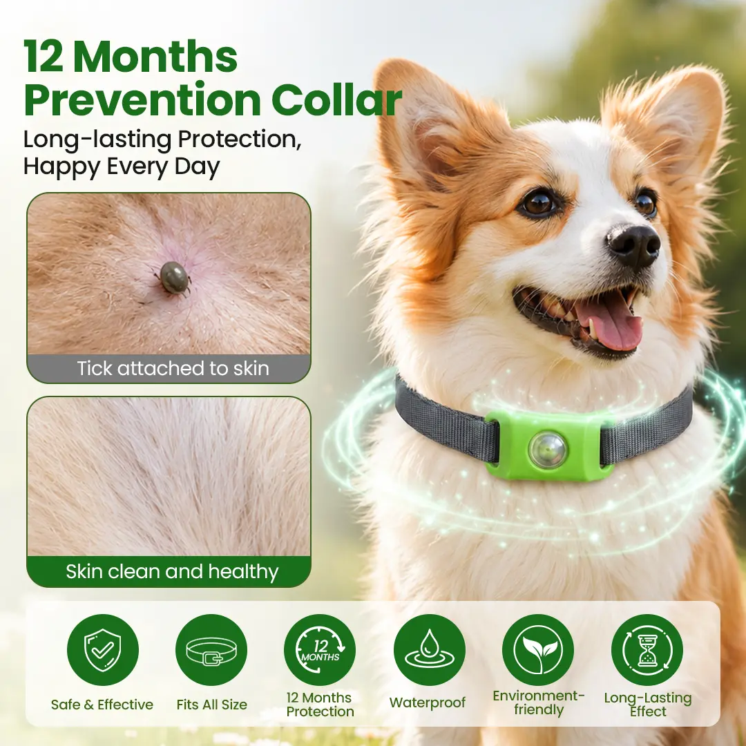 Petlavo 12-Month Flea & Tick Collar - Image 3