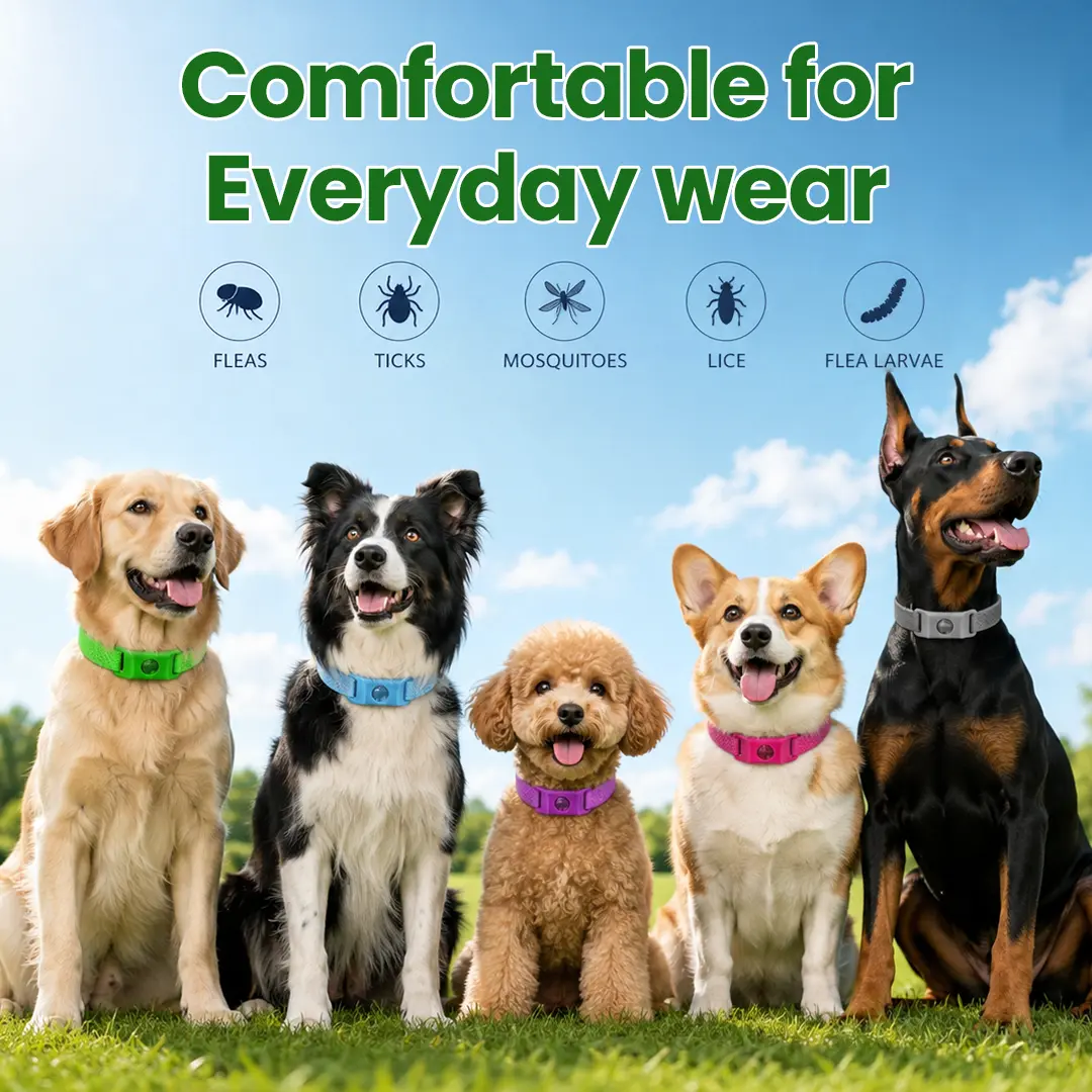 Petlavo 12-Month Flea & Tick Collar - Image 5