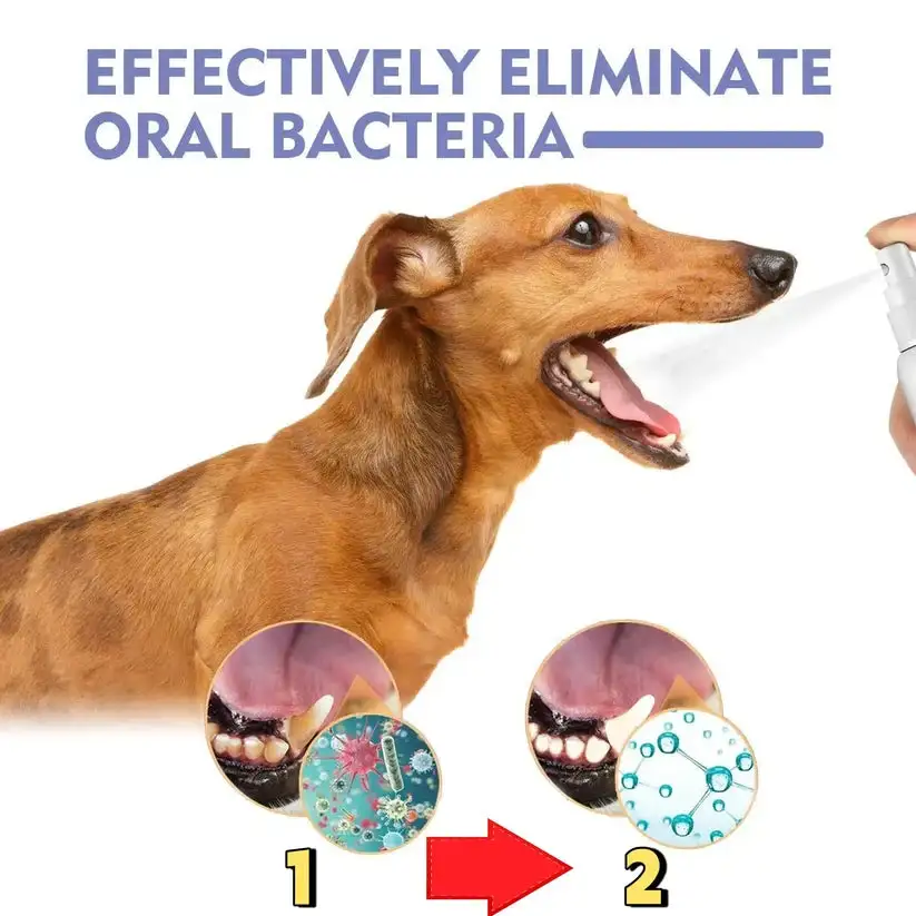 NO BRUSHING oral care spray for dogs cats - Image 4