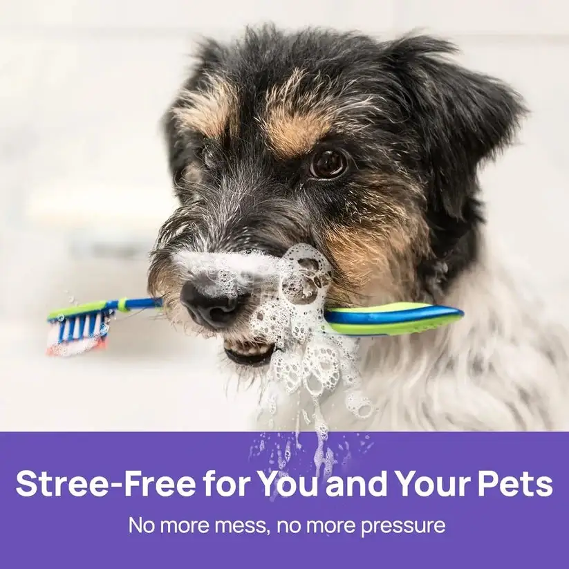 NO BRUSHING oral care spray for dogs cats - Image 5